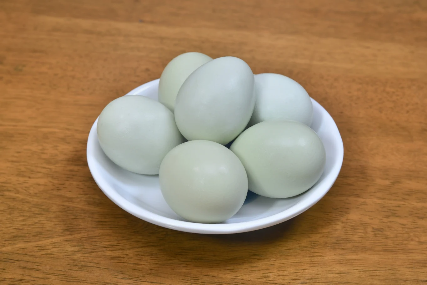 Jajka od kury zielononóżki wyróżniają się charakterystycznym zielonkawym kolorem Jajka od kury zielononóżki wyróżniają się charakterystycznym zielonkawym kolorem