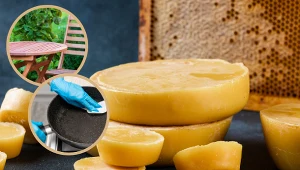 Natrzyj tym drewniane meble ogrodowe po zimie, a odzyskają dawny blask. Sprawdzi się też do patelni 