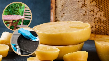 Wosk pszczeli sprawdzi się do impregnowania drewnianych mebli ogrodowych oraz patelni żeliwnych. Jak go wykorzystać?