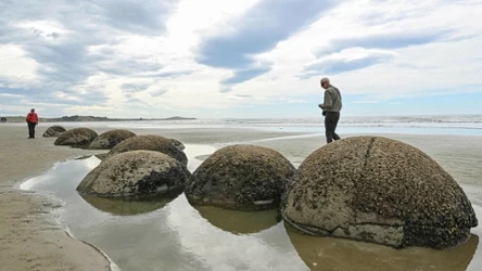 Głazy Moeraki to jedno z najbardziej fascynujących miejsc w Nowej Zelandii – zarówno pod względem geologicznym, jak i turystycznym