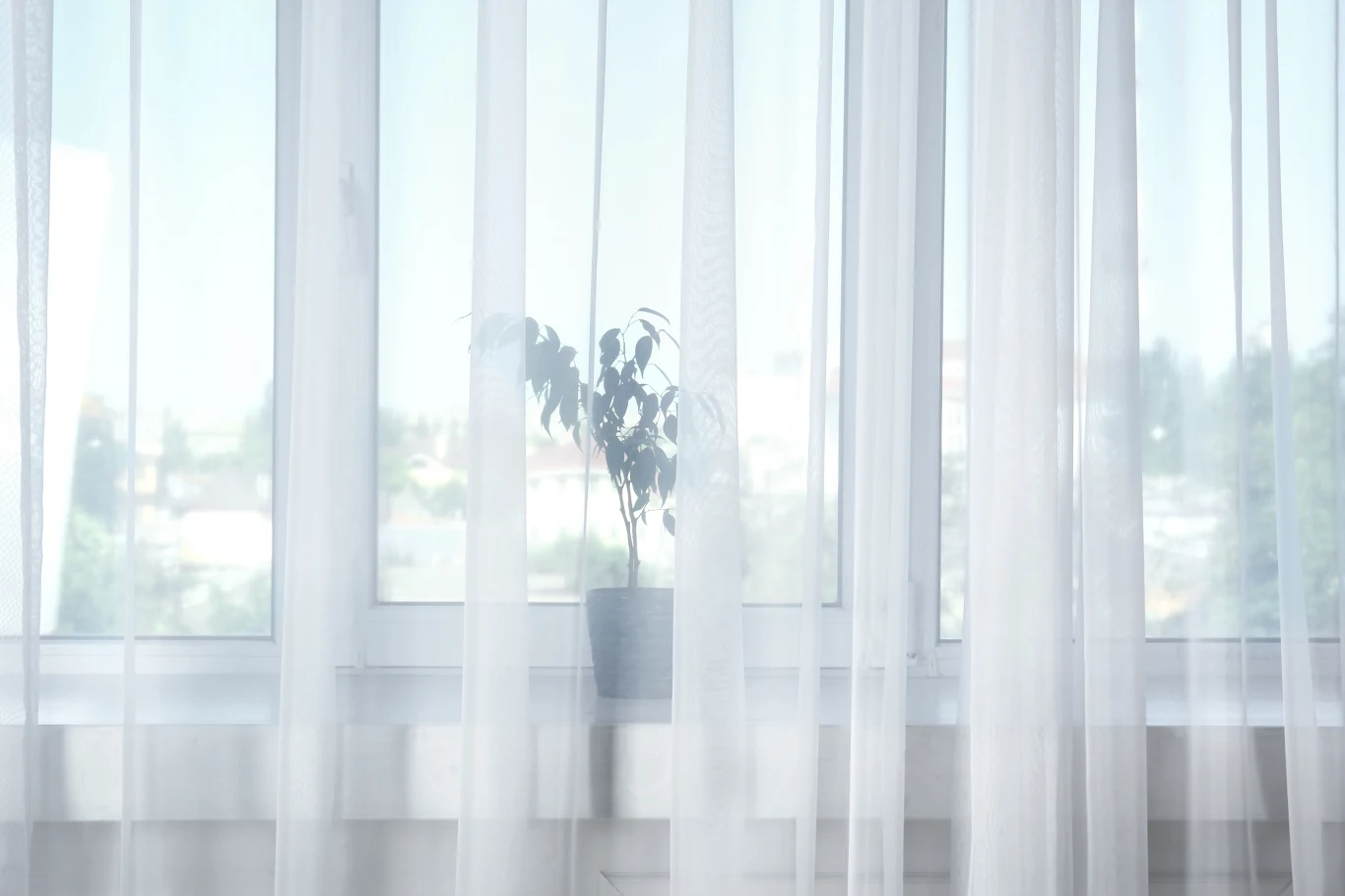 Na białe firanki jest domowy sposób. Na białe firanki jest domowy sposób.