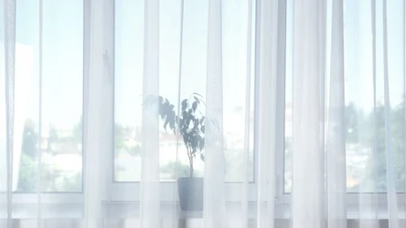 Na białe firanki jest domowy sposób.