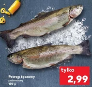 Pstrąg tęczowy