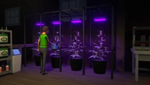 Schedule 1 narusza prawa autorskie? Dochodzenie trwa