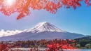 Nowy podatek turystyczny w Japonii