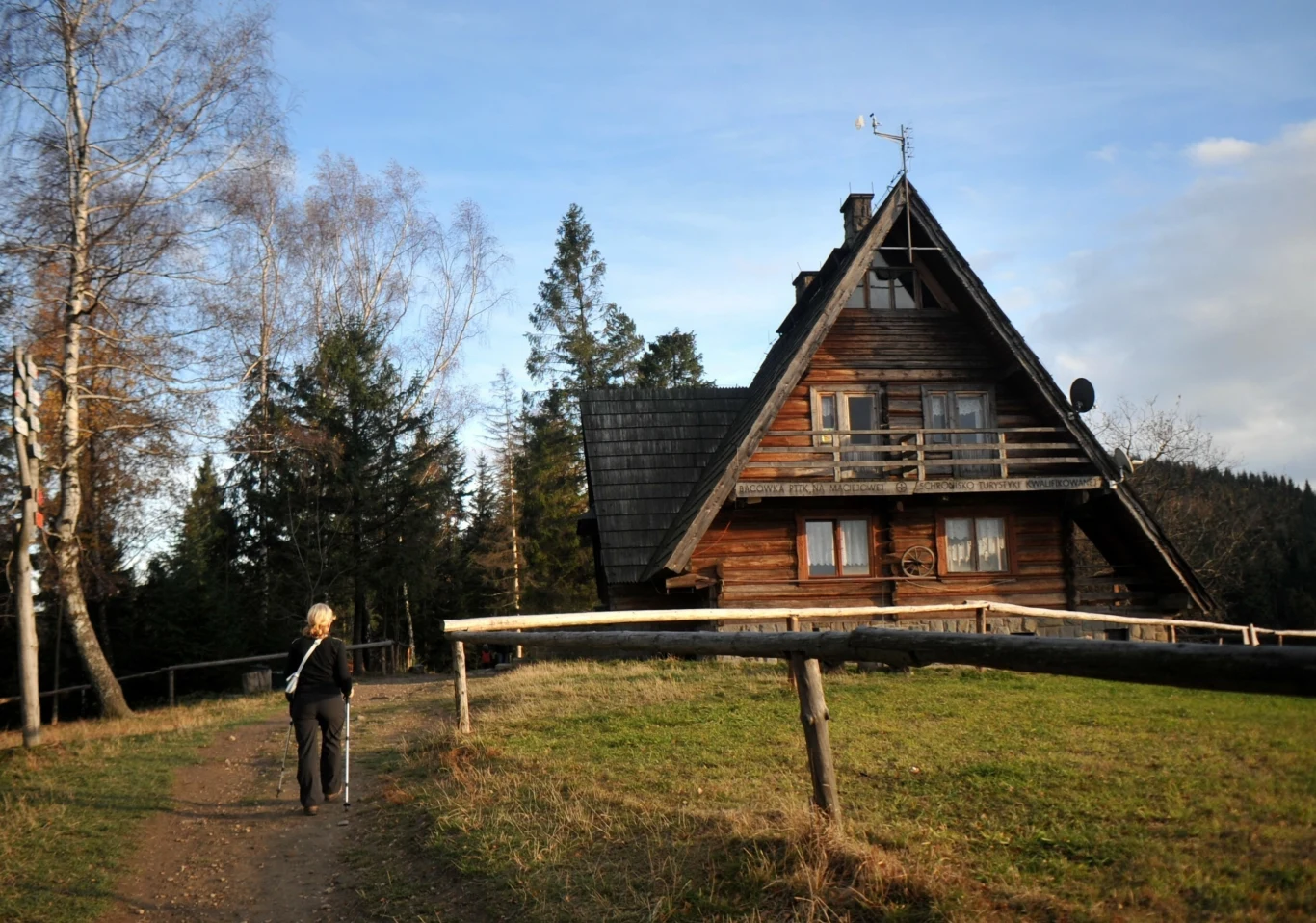 Krokusy znajdziesz nie tylko w Tatrach. Możesz je również podziwiać na Maciejowej w Gorcach. 