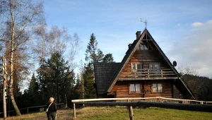 Prosty szlak na wiosenną wycieczkę. Brak tłumów i morze krokusów
