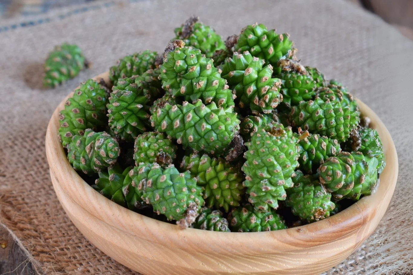 Płukanie szyszek w bieżącej wodzie lub z dodatkiem octu usuwa kurz, owady, pajęczyny i pyłki, które mogą się na nich osadzić. Płukanie szyszek w bieżącej wodzie lub z dodatkiem octu usuwa kurz, owady, pajęczyny i pyłki, które mogą się na nich osadzić.