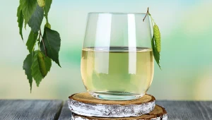 Picie wody z brzozy pomaga wzmocnić organizm po zimie, usprawnia trawienie i ma działanie oczyszczające