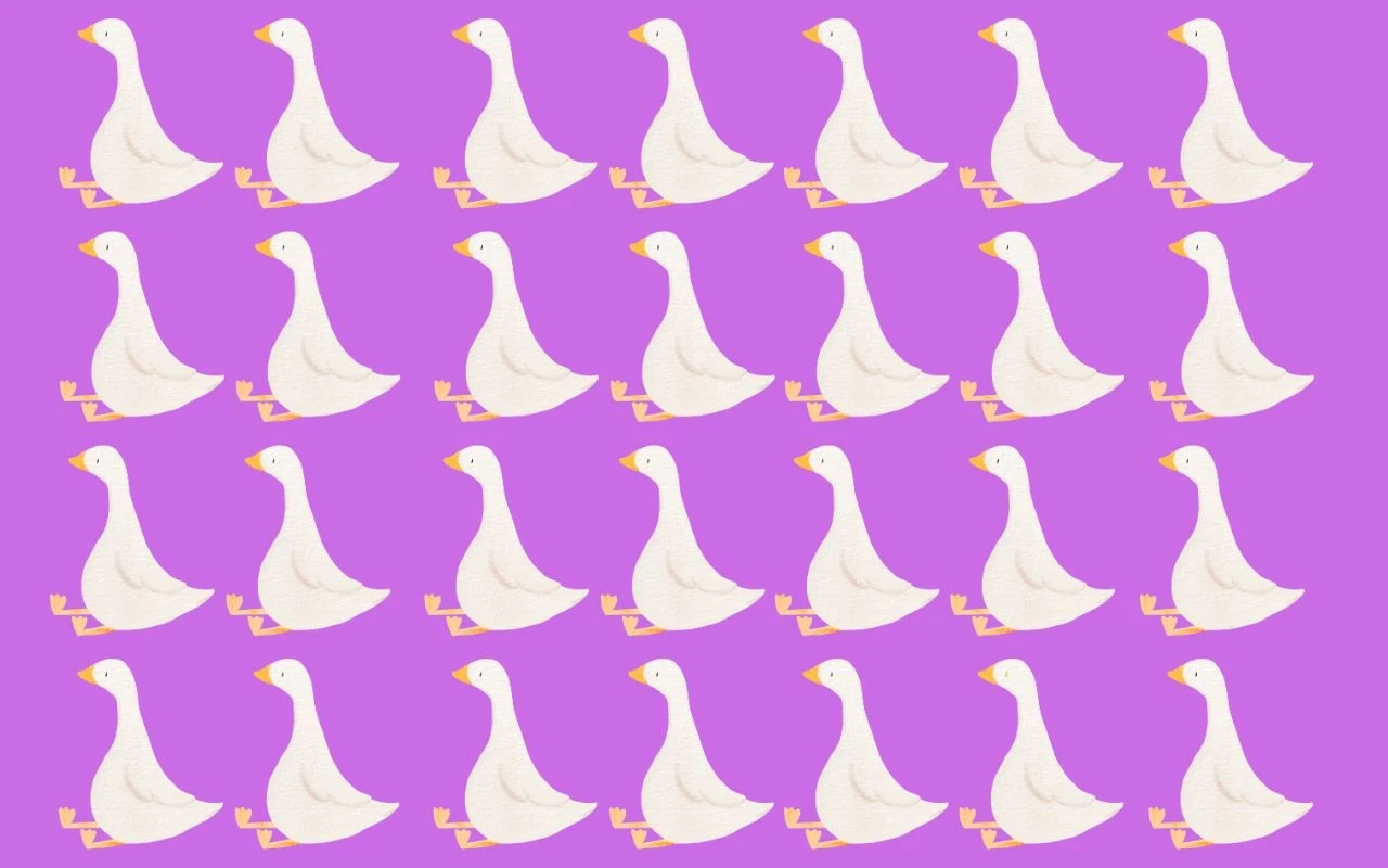 Test na spostrzegawczość: Czy twój wzrok ma się dobrze? Test na spostrzegawczość: Czy twój wzrok ma się dobrze?