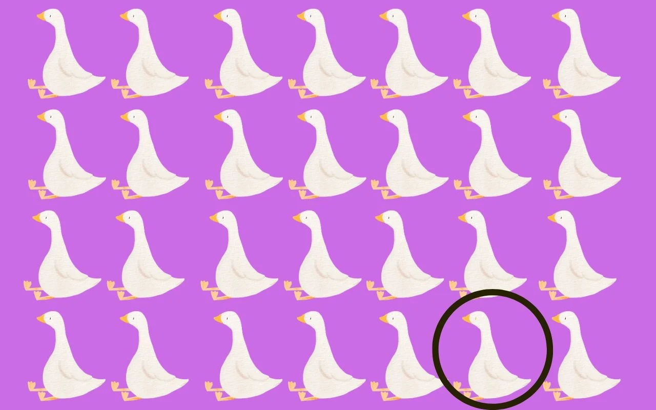 Rozwiązanie Rozwiązanie