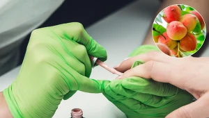 Ten manicure wiosną będą nosić wszystkie kobiety. Kojarzy się z soczystym owocem