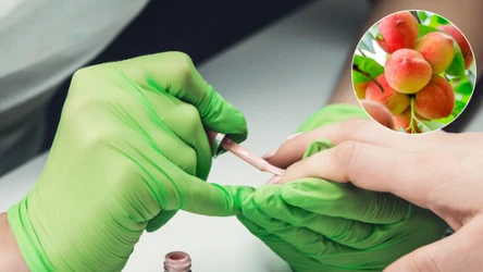 Brzoskwiniowy manicure będzie największym hitem wiosny 2025