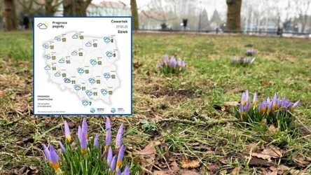 Wyż Manuela przyniesie do Polski poprawę pogody, którą wyraźniej odczujemy w drugiej części dnia