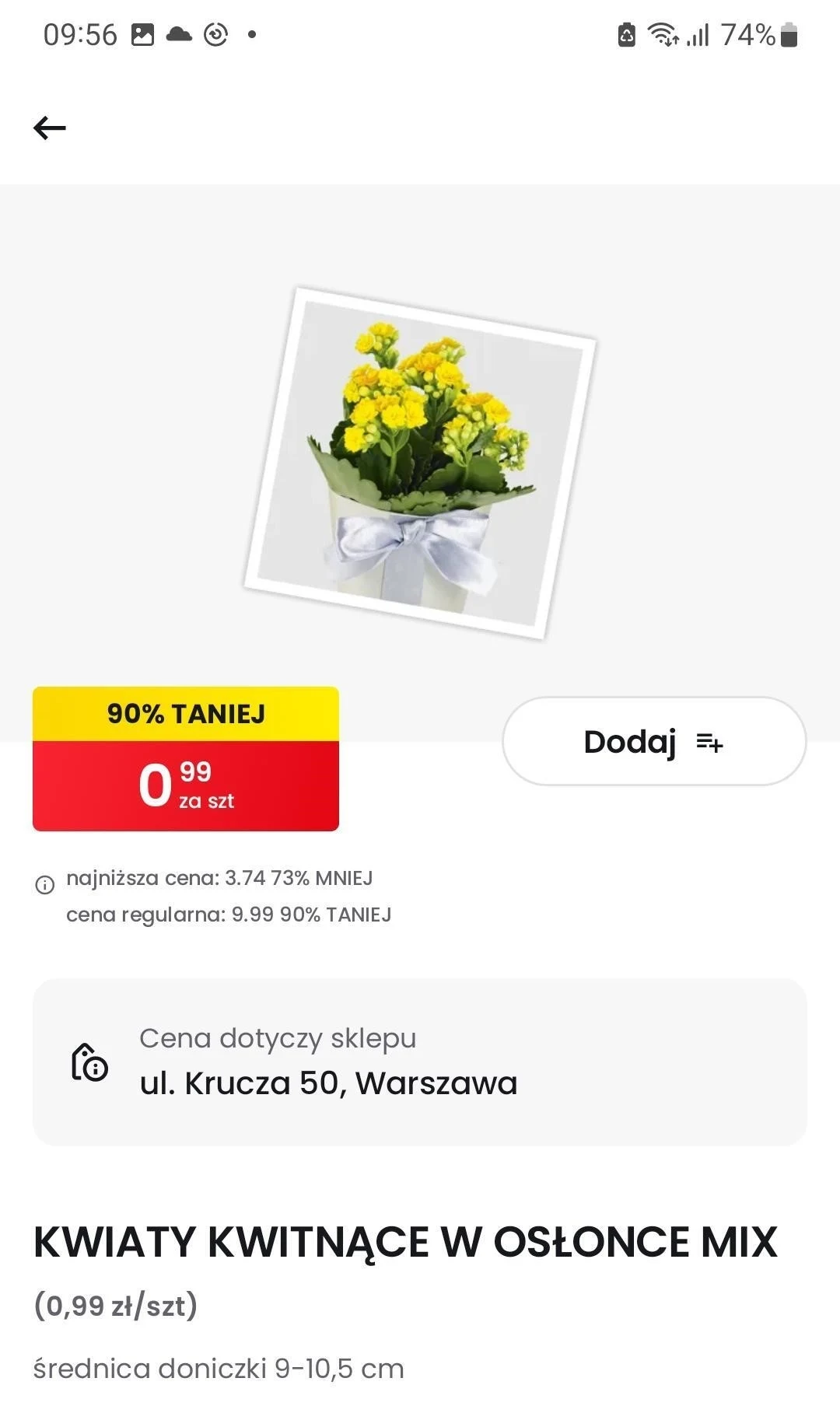 Kwiaty 90% taniej w Biedronce 