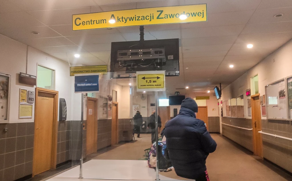 Na koniec grudnia 2024 r. najwyższą stopę bezrobocia w kraju odnotowano w województwie podkarpackim (8,7 proc.)
