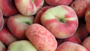 Według danych USDA, 100 gramów brzoskwiń płaskoowocowych to zaledwie 39 kcal