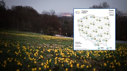 W piątek pogoda będzie słoneczna i spokojna w zdecydowanej większości Polski. To zasługa wyżu Manuela