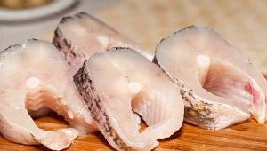 W Polsce jesiotr jest rybą całkowicie chronioną