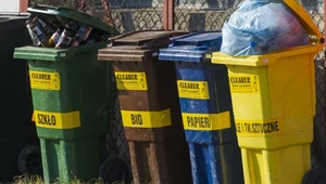 UE wprowadza nowe przepisy dot. odpadów. Dotkną także gospodarstwa domowe