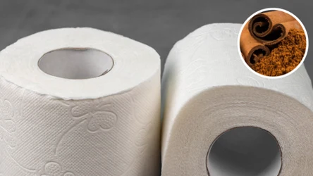 Papier toaletowy i cynamon pomogą ci rozwiązać irytujący problem