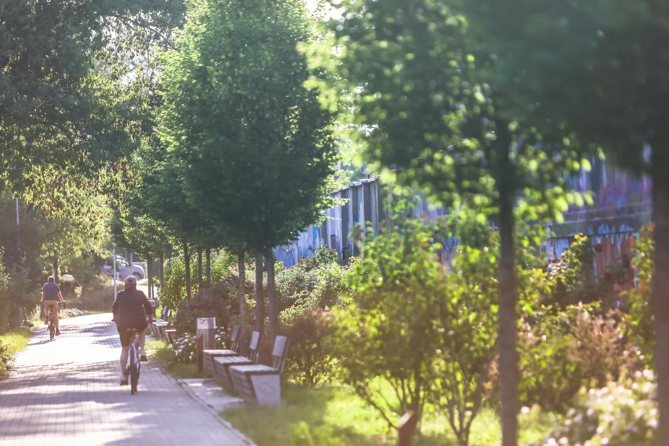  Park został założony w 1906 na terenie dawnej osady Kamion, na tarasie zalewowym Wisły[6]. W tamtym czasie ten teren znajdował się poza granicami miasta