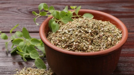 Suszone oregano, dzięki wysokiemu stężeniu tymolu i karwakrolu, wykazuje właściwości przeciwzapalne
