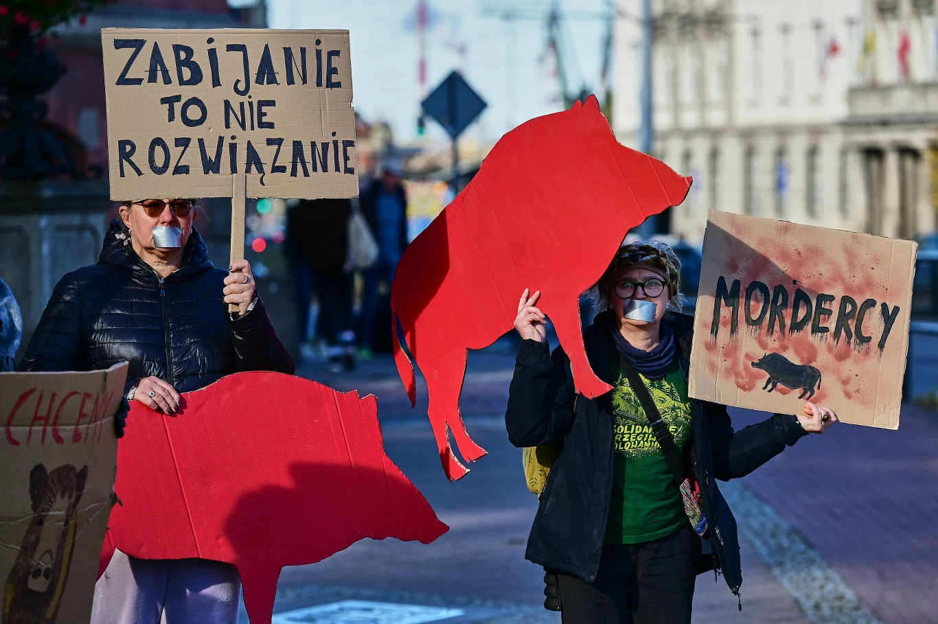 W związku z decyzją ministra rolnictwa z 2019 r. dotyczącą masowego zabijania dzików, w Polsce od tego czasu odbywają się protesty ekologów