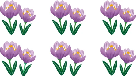 Czym różnią się te obrazki? Drobny szczegół wypatrzy tylko sokole oko