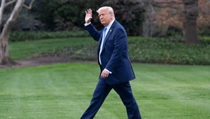 Wielka Brytania i Niemcy w strachu. Kto oberwie najmocniej cłami Trumpa?
