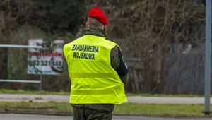 Wiceprezes BGK objęta ochroną żandarmerii. Decyzję podjął Kosiniak-Kamysz