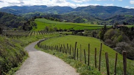Długodystansowe trasy, takie jak Camino de Santiago przyciągają wędrowców