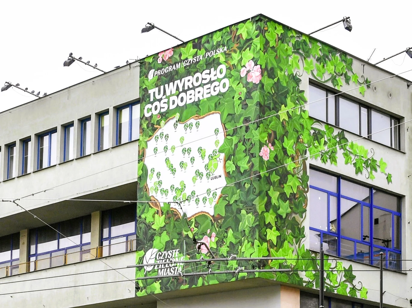 Czyste Zielone Miasta fot. Telewizja Polsat