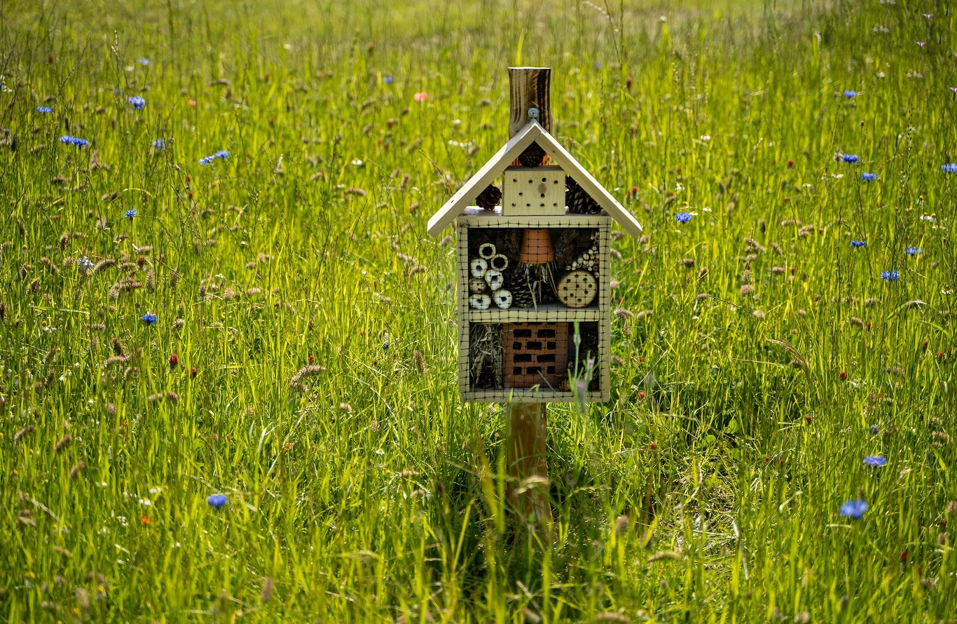 Czyste Zielone Miasta fot. UM Chrzanów