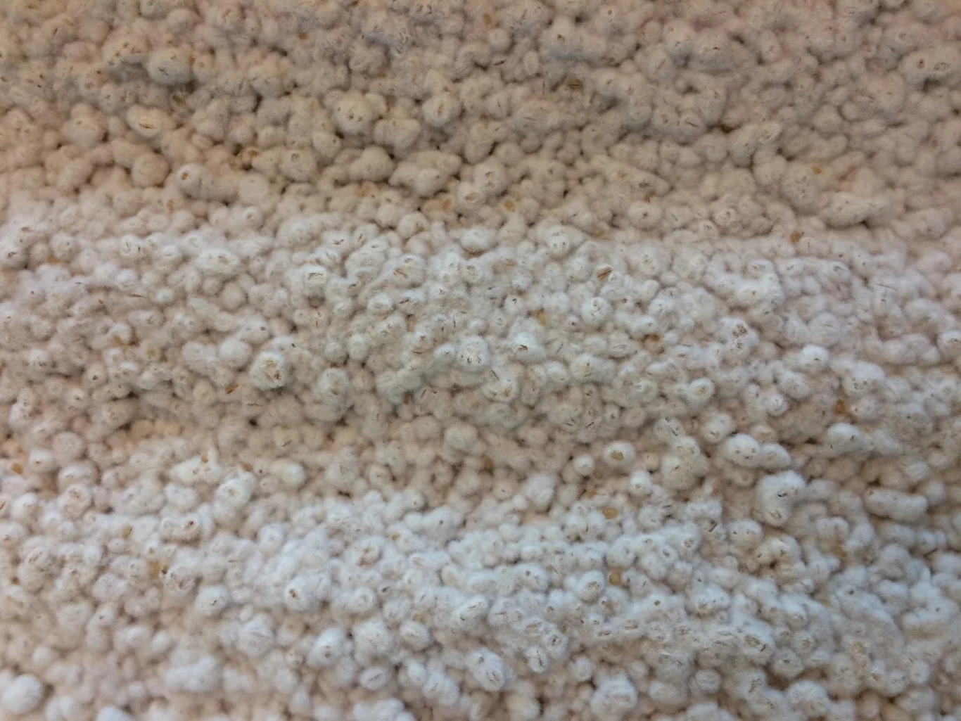 Grzyb Kōji (Aspergillus oryzae) służył do fermentacji soi na miso. 