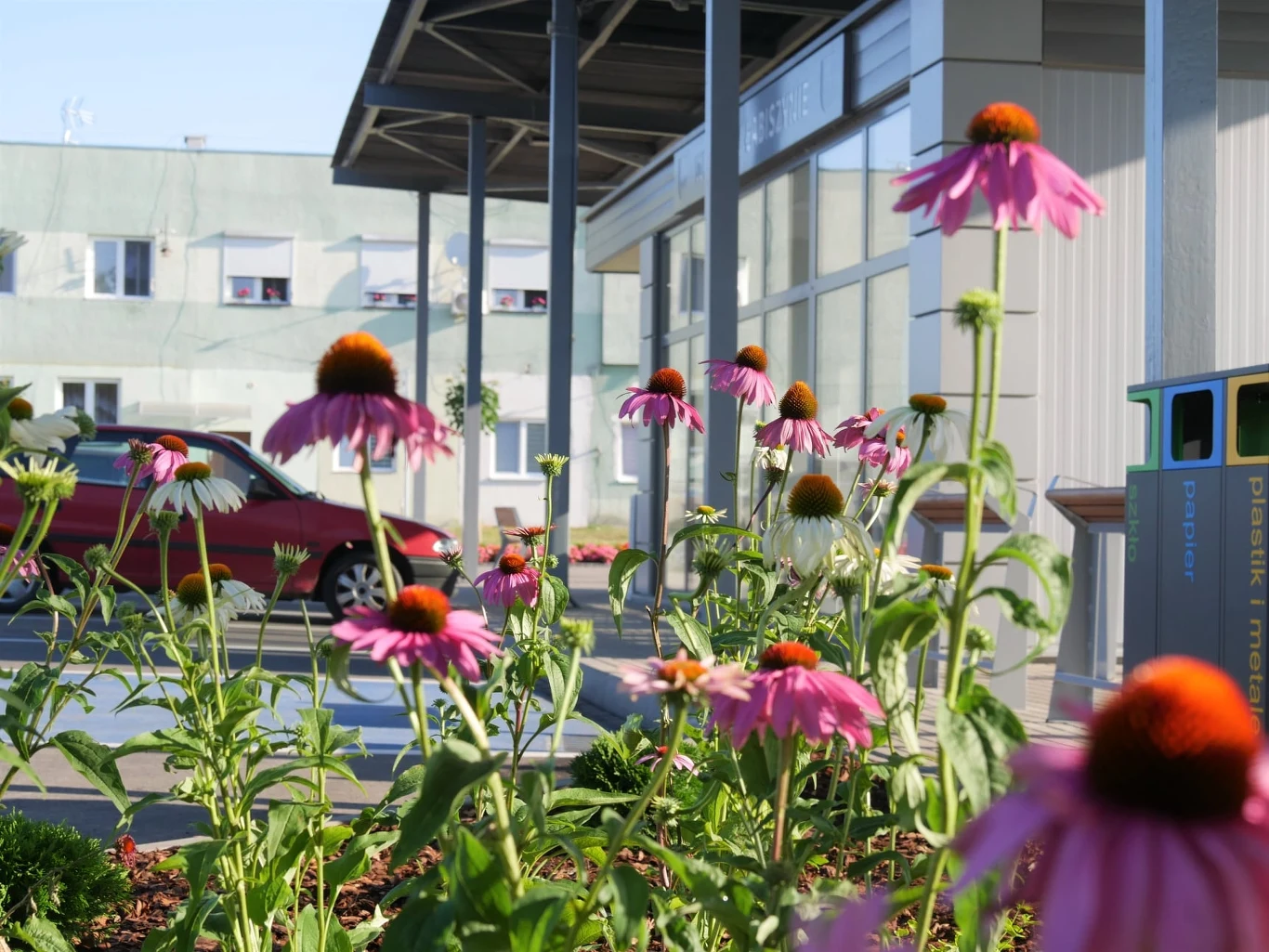 Czyste Zielone Miasta fot. UM Łabiszyn