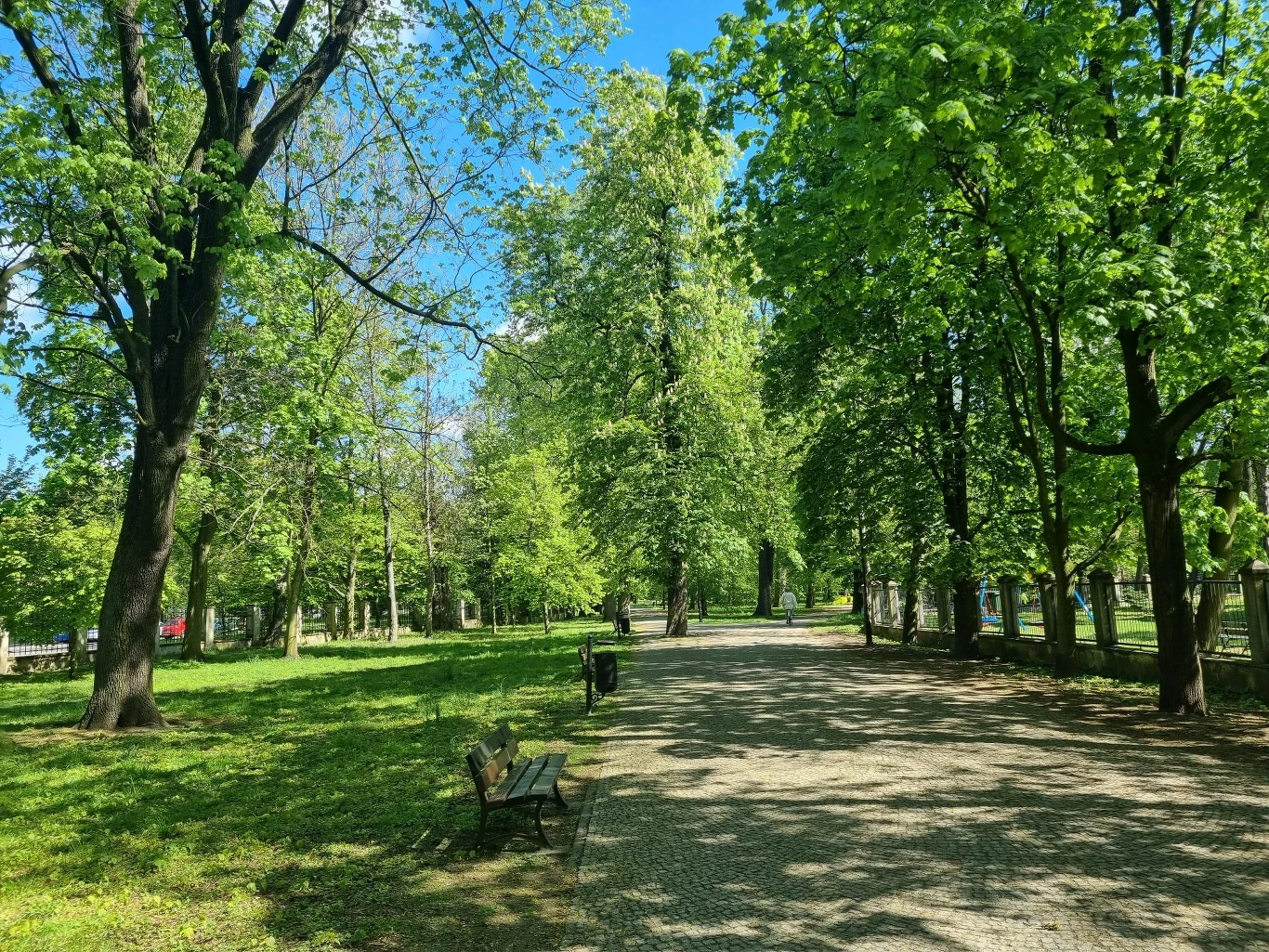 Ścieżka w parku otoczona wysokimi drzewami, przez które przenikają promienie słoneczne. W tle widać ławeczki i zieleń, tworząc spokojny, naturalny pejzaż.