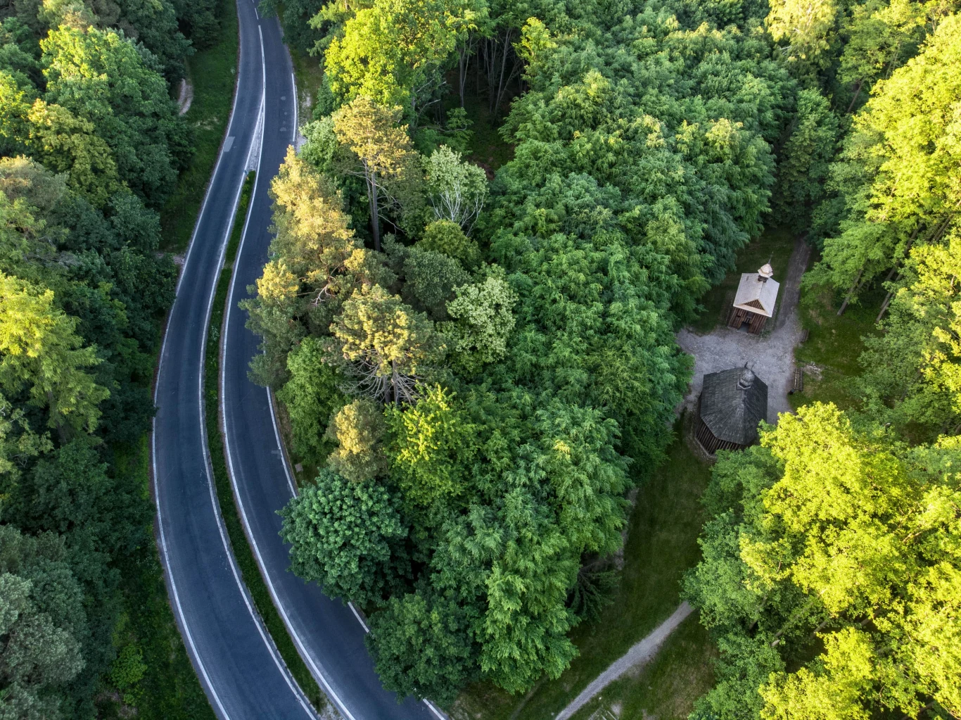Czyste Zielone Miasta fot. UM Łódź