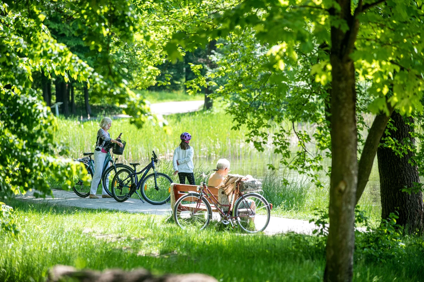 Czyste Zielone Miasta fot. UM Łódź
