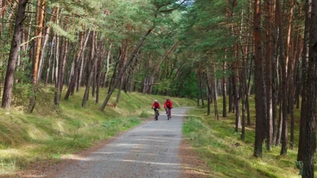 Jak jest najdłuższa trasa rowerowa w Polsce?