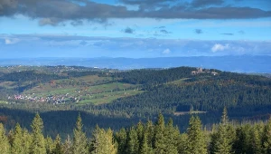 Gratka dla miłośników ścieżek w koronach drzew. Nowa atrakcja w Małopolsce 