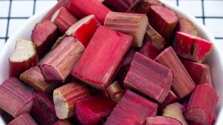 Rabarbar kiedyś był popularny. Dziś mało kto o nim pamięta, a jest bardzo zdrowy i można z niego zrobić pyszny kompot