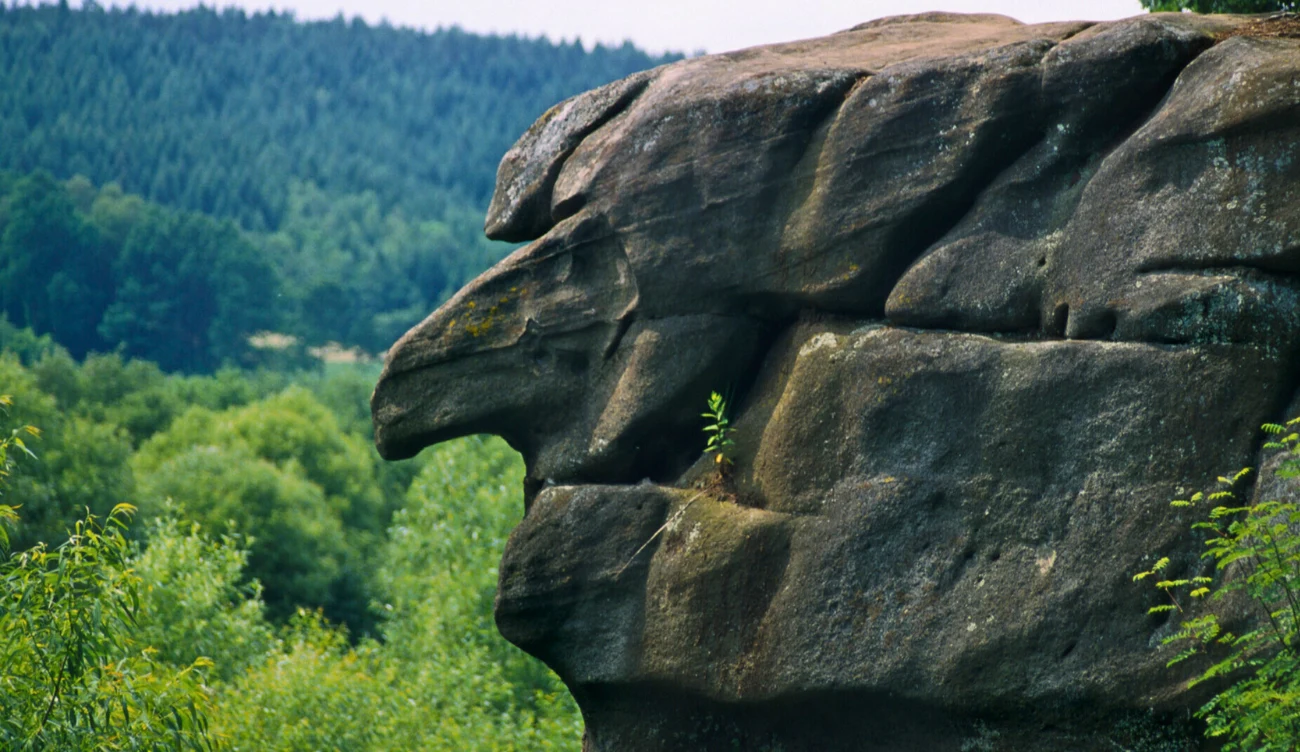 Skamieniałe Miasto jest wyjątkowym punktem na mapie Małopolski Skamieniałe Miasto jest wyjątkowym punktem na mapie Małopolski