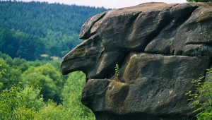 Tylko tam zobaczysz Wąwóz i Wodospad Czarownic. To miejsce jest w Małopolsce 