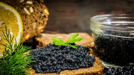 Kawior wysokiej jakości nie przywiera do palców, nie jest przesuszony ani zbyt wilgotny.