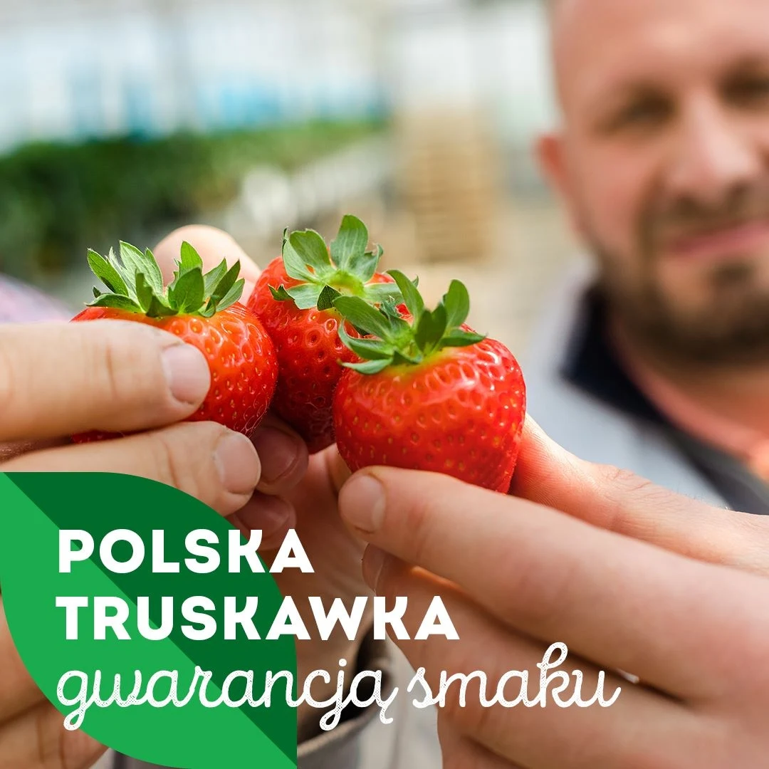 Krajowy Związek Grup Producentów Owoców i Warzyw Krajowy Związek Grup Producentów Owoców i Warzyw