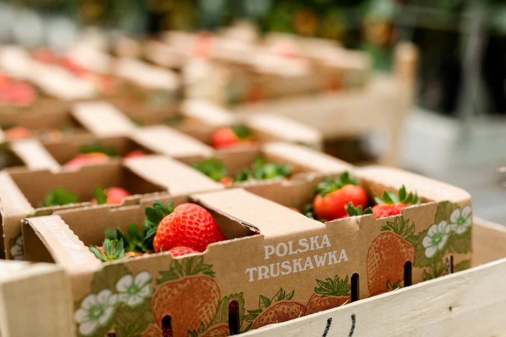 Krajowy Związek Grup Producentów Owoców i Warzyw