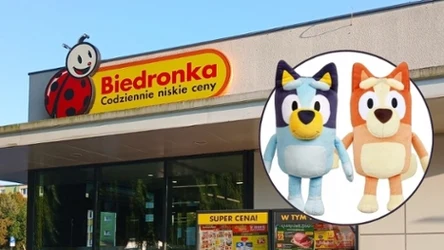 Pluszaki Bluey w Biedronce! 