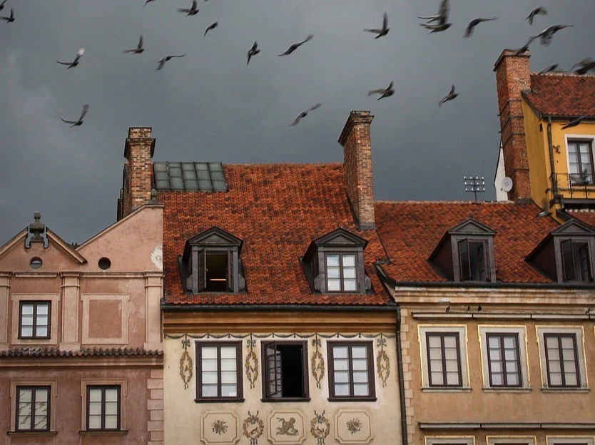 Fot. pixabay.com/ IsaacFryxelius