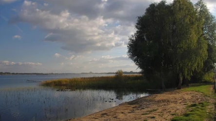 Obniżający się poziom wód w Jeziorze Powidzkim to efekt zmian klimatycznych, które powodują długotrwałe susze i ograniczają naturalną retencję wody w regionie